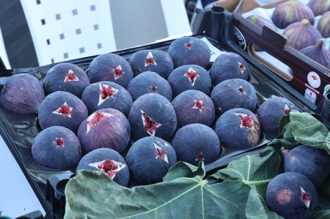 11. Akçalar -Fadıllı İncir Festivali’nde Lezzet Şöleni