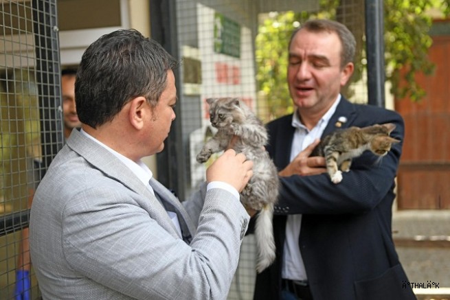 4 Ekim Dünya Hayvanları Koruma Günü Osmangazi’de Kutlandı 
