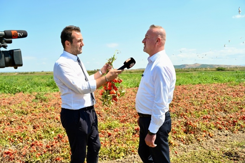 "Domatesin Başkenti Karacabey’de Hasat Sezonu"