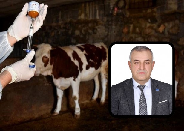 A Parti Mustafakemalpaşa’dan Şap Hastalığını Açıklaması: "Görülmemiş Olay"