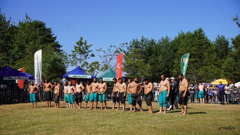 Alıç Yaylası Kıran Kırana Güreşlere Sahne Oldu