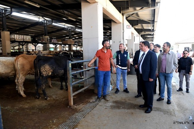 Başkan Aydın Kurban Pazarını Ziyaret Etti