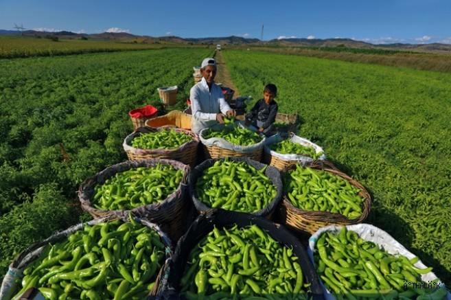 Başkan Ercan Özel : “Tarımı Geliştiren Sanayi ve Ticareti Birlikte Büyüten Bir Anlayışla İlerliyoruz”   