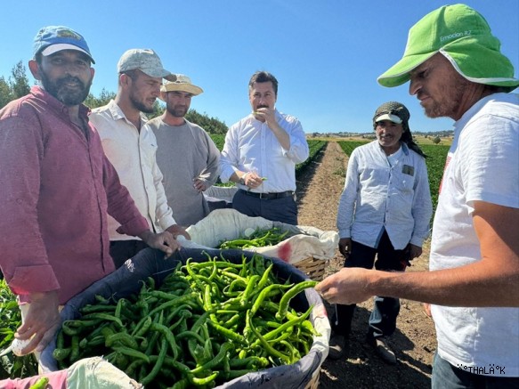 Başkan Özel  Tarım İşçilerini Tarlada  Ziyaret etti