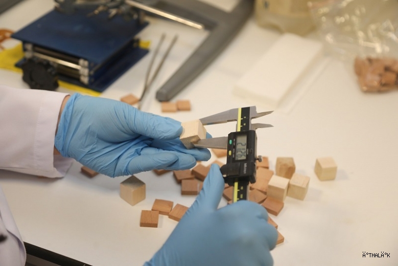 BTÜ’den Yerli Odun Türlerini Mobilya ve Yapı Sektörüne Kazandıracak Proje