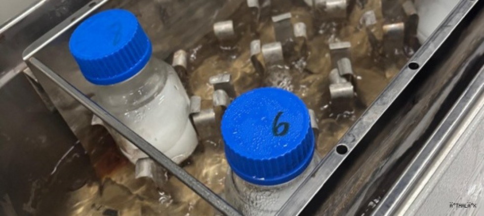 BTÜ’lü Öğrenciler Atık Nişastadan Ambalaj Film Üretti