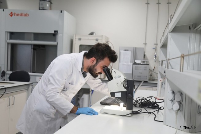 BTÜ’nün Projesi Hayvansal Kaynaklara Alternatif Kaynak Olacak