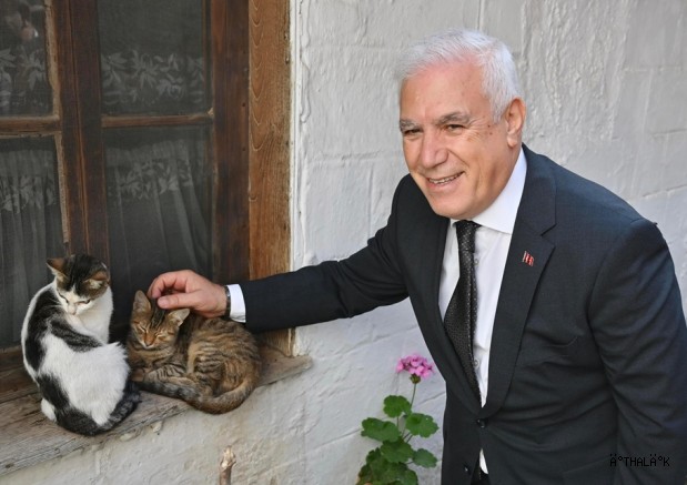 Bursa Büyükşehir Patili Dostların Yanında