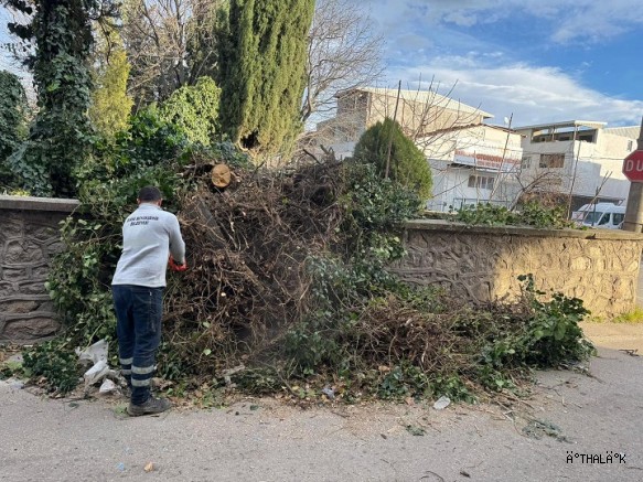 Bursa Büyükşehir, Şiddetli Rüzgara Karşı Teyakkuzda
