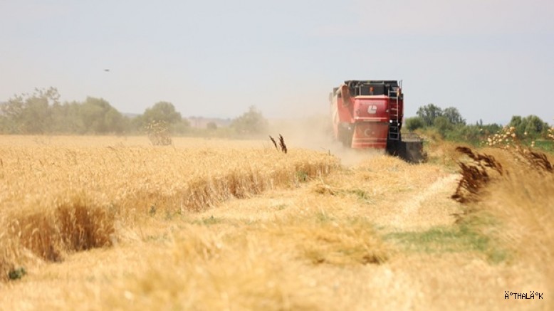  Bursa'da Büyükşehir Desteği İle Hasat Zamanı