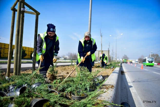 Bursa'da Cadde ve Bulvarlara Estetik Dokunuş