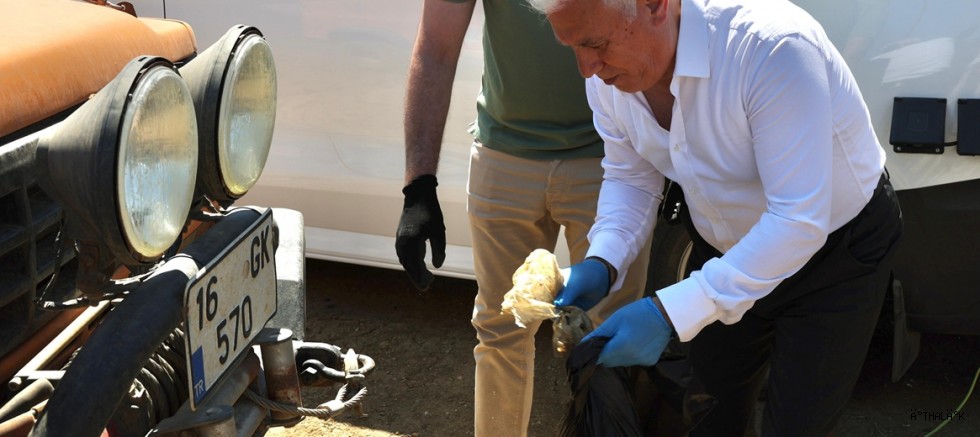 Bursa'da Orman Yangınlarına Karşı 'Temizlik' Seferberliği!