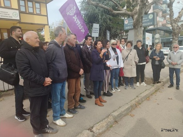 Bursa'da Sahipsiz Hayvanların Toplanmasına Beslenme Yasağına STK'lardan Tepki