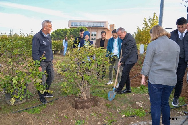 BUÜ’nün 50. Yıl Sokağı Açılış Hazırlıkları Fidanlarla Renklendirildi