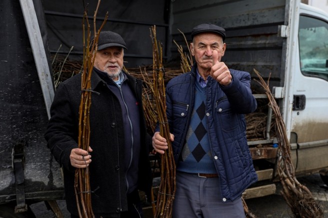 Büyükşehir’de Üreticiye Fidan ve Tohum Desteği