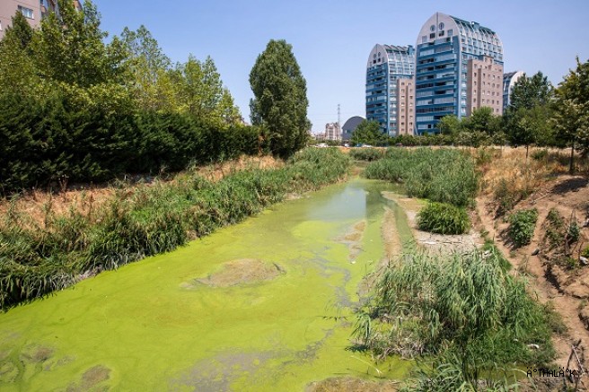 Büyükşehir’den Ayvalı Dere’de Temizlik ve Islah Çalışması