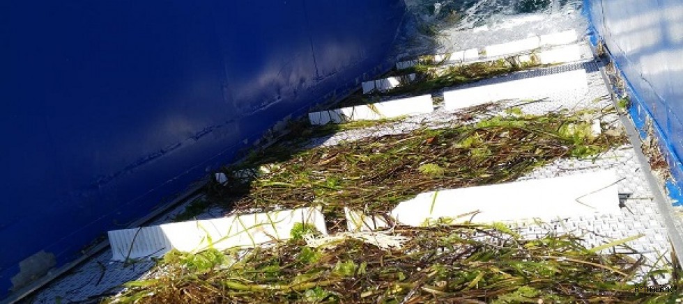 Büyükşehir’den Deniz Temizliği