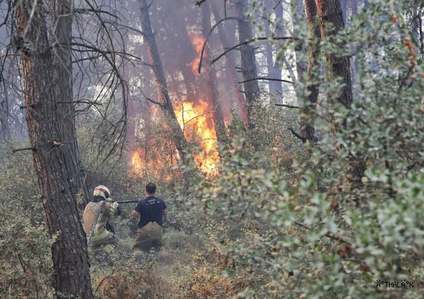 Büyükşehir'den Gündoğdu Yangını Seferberliği