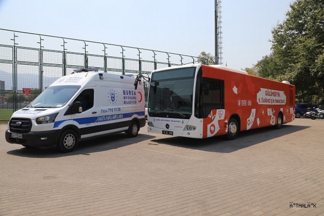 Büyükşehir  Yangın Bölgesindeki Yaraları Sarmaya Başlıyor