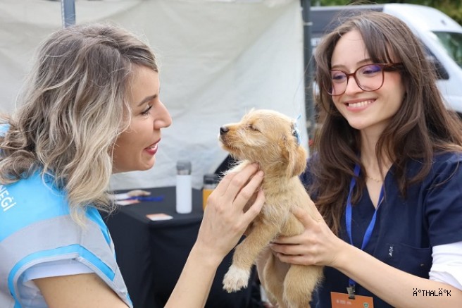 Can Dostlar Yeni Yuvalarına Kavuştu