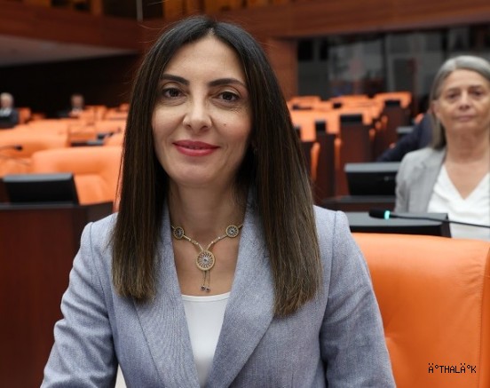 CHP'li Altaca Kayışoğlu Hocaköy'ü Sordu