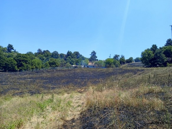Dağyenice’de Yangın Söndürüldü