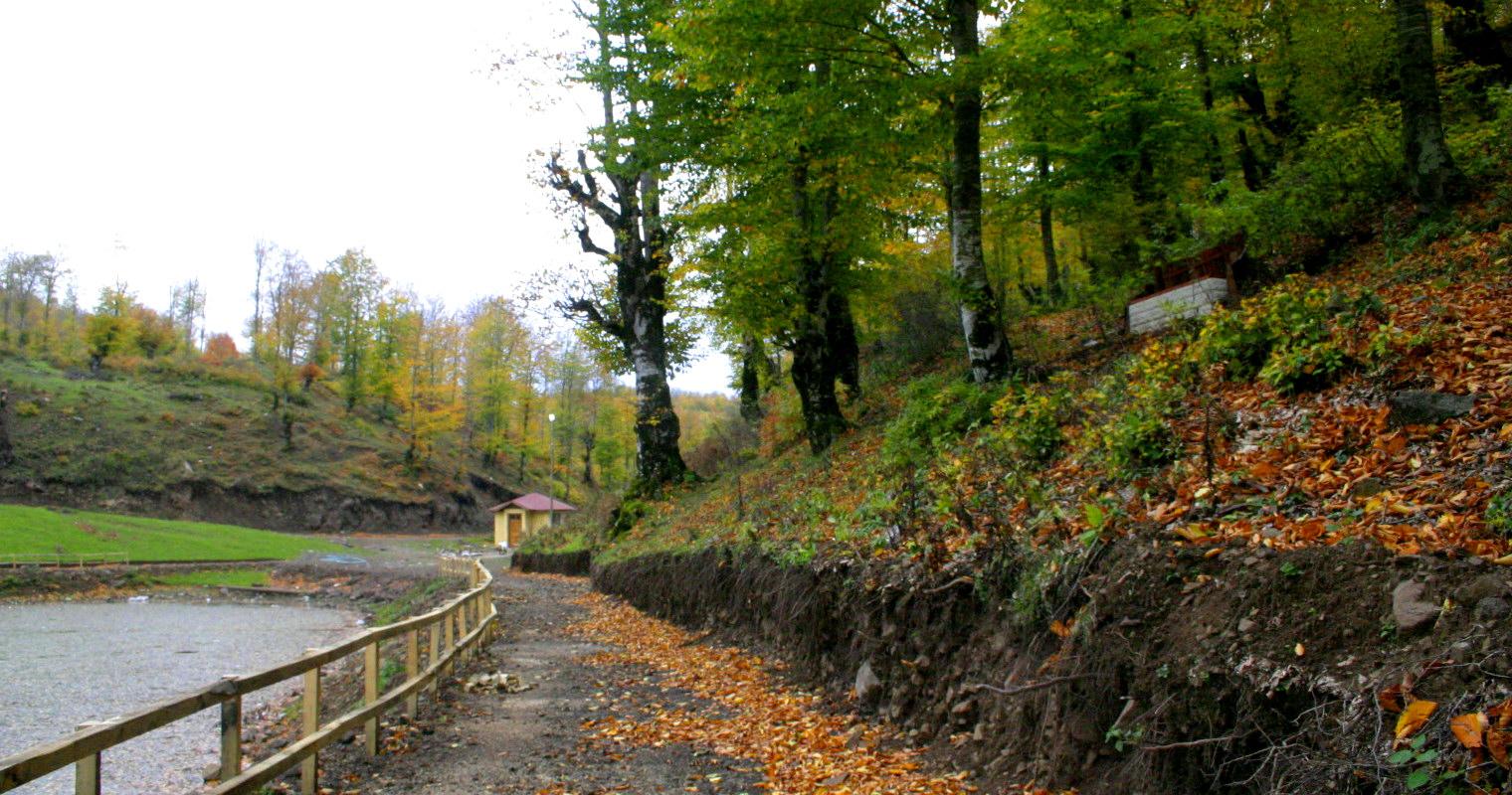 Doğanın Güzellikleri: Tabiat Galerisi