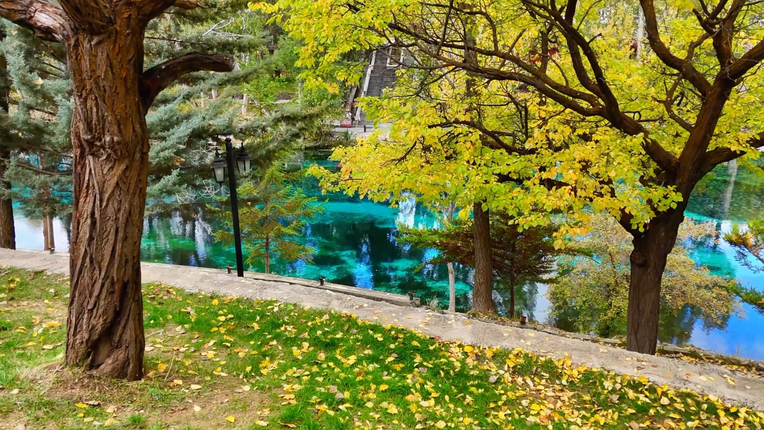 Sonbahar Güzelliği