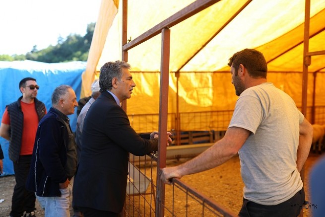 Gemlik Belediyesi Kurban Pazarı’nda Satışlar Başladı