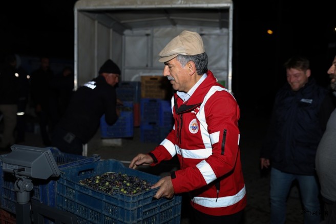 Gemlik Belediyesi Yağlık Zeytin Alımlarına Umurbey'de Devam Etti 