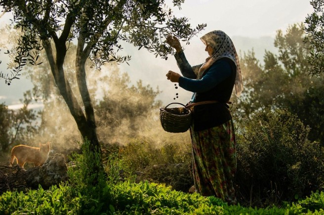 Gemlik’in Güzellikleri 4. Fotoğraf Maratonu’nda Objektiflere Yansıdı