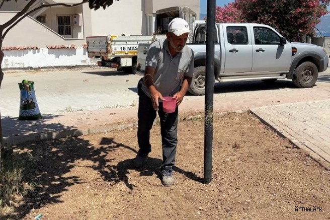 Gemlik’te Üç Koldan Hizmet