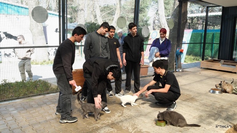 Gençlerden Patili Canlara Ziyaret