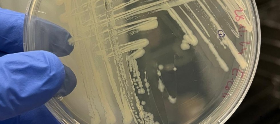 İklim Değişikliği ve Uzay Çalışmaları İçin Önemli Proje