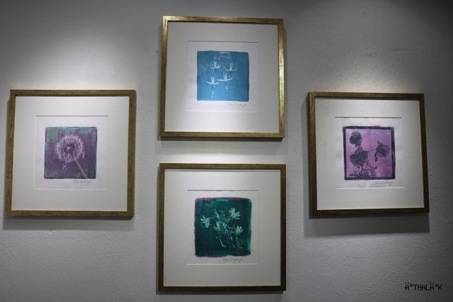 “Işığın İzi” Sergisi Nilüfer’de 