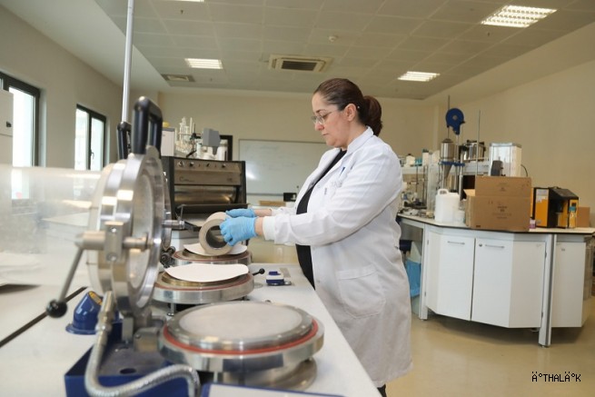 Kâğıt Atıkları Doğada Çözünebilir Saksıya Dönüşecek