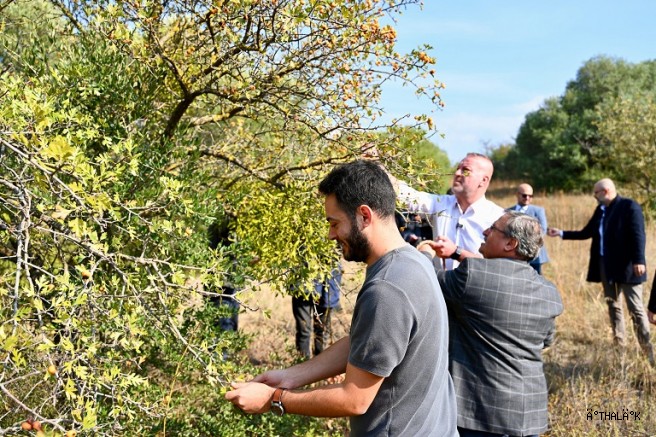 Karacabey Belediyesi ‘Alıç Meyvesi’ni Dünya Pazarında Tanıtacak!