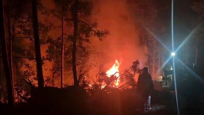 "Karacabey Belediyesi’nden Alacaat’taki Yangına Karşı Destek"