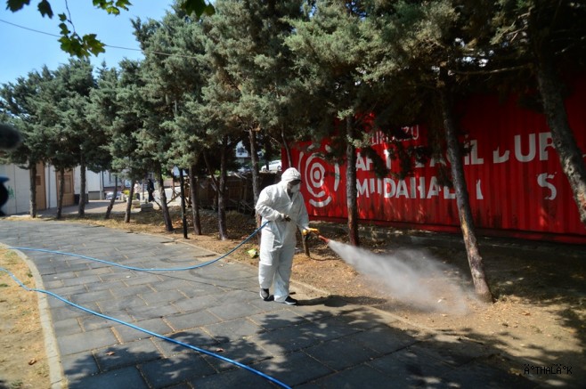 Kene ve Haşerelerle Mücadele İçin İlaçlama  Çalışmaları Başladı