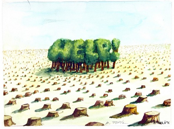 “Küllerinden Doğan Umut” Sergisi Nilüfer’de Sanatseverlerle Buluşuyor