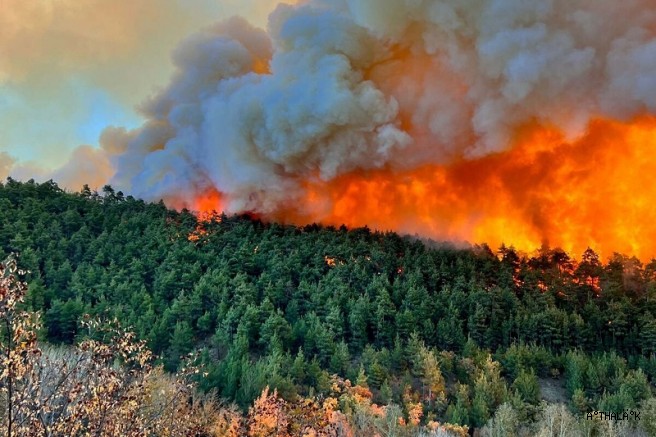 Mimarlar Odası'ndan Yangın Haftası İle İlgili Açıklama