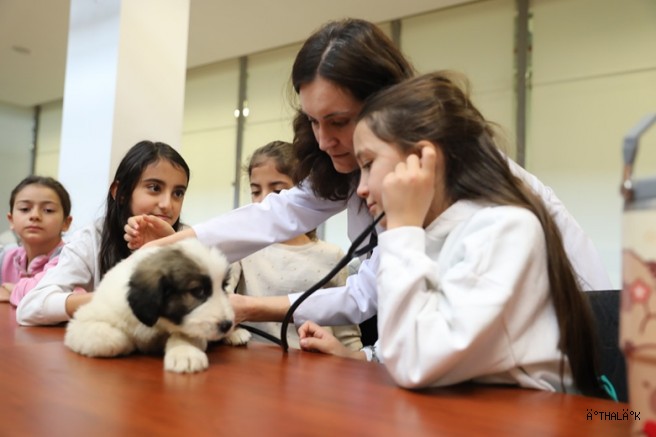 Minik Veterinerler Görev Başında