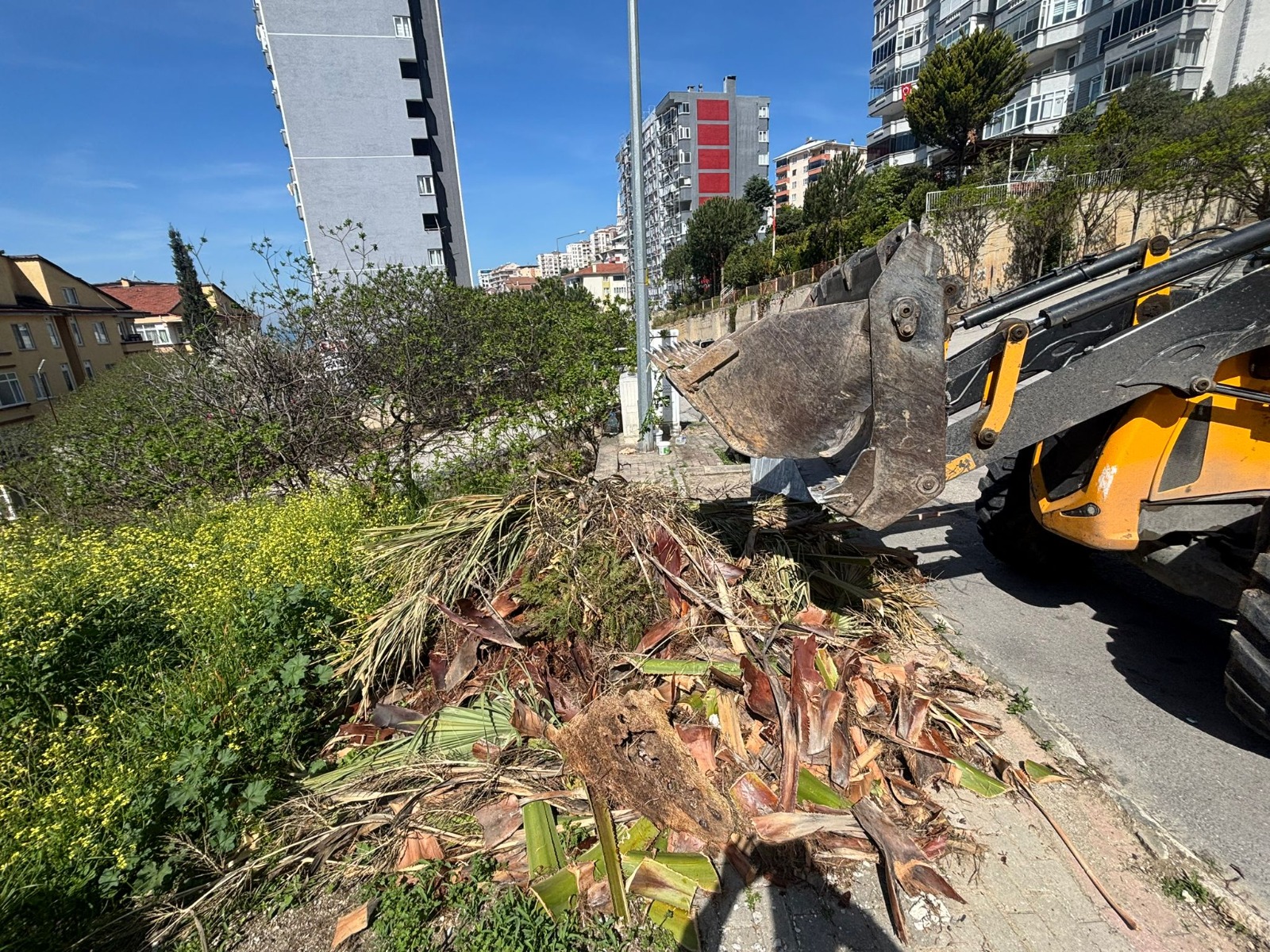 Gemlik’te Bahar Temizliği