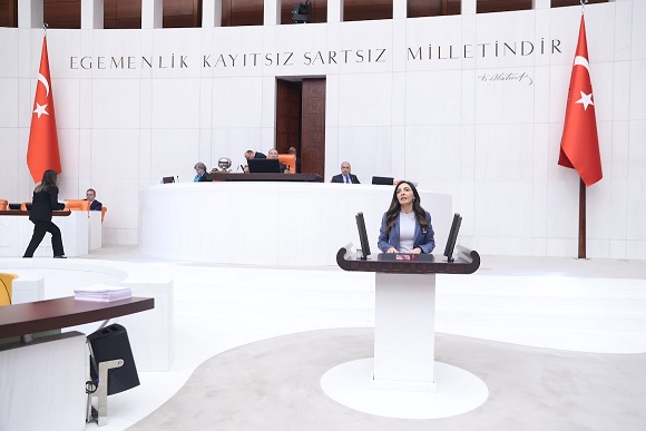 Kayışoğlu: Gençler Vatandaşıktan Çıkıyor