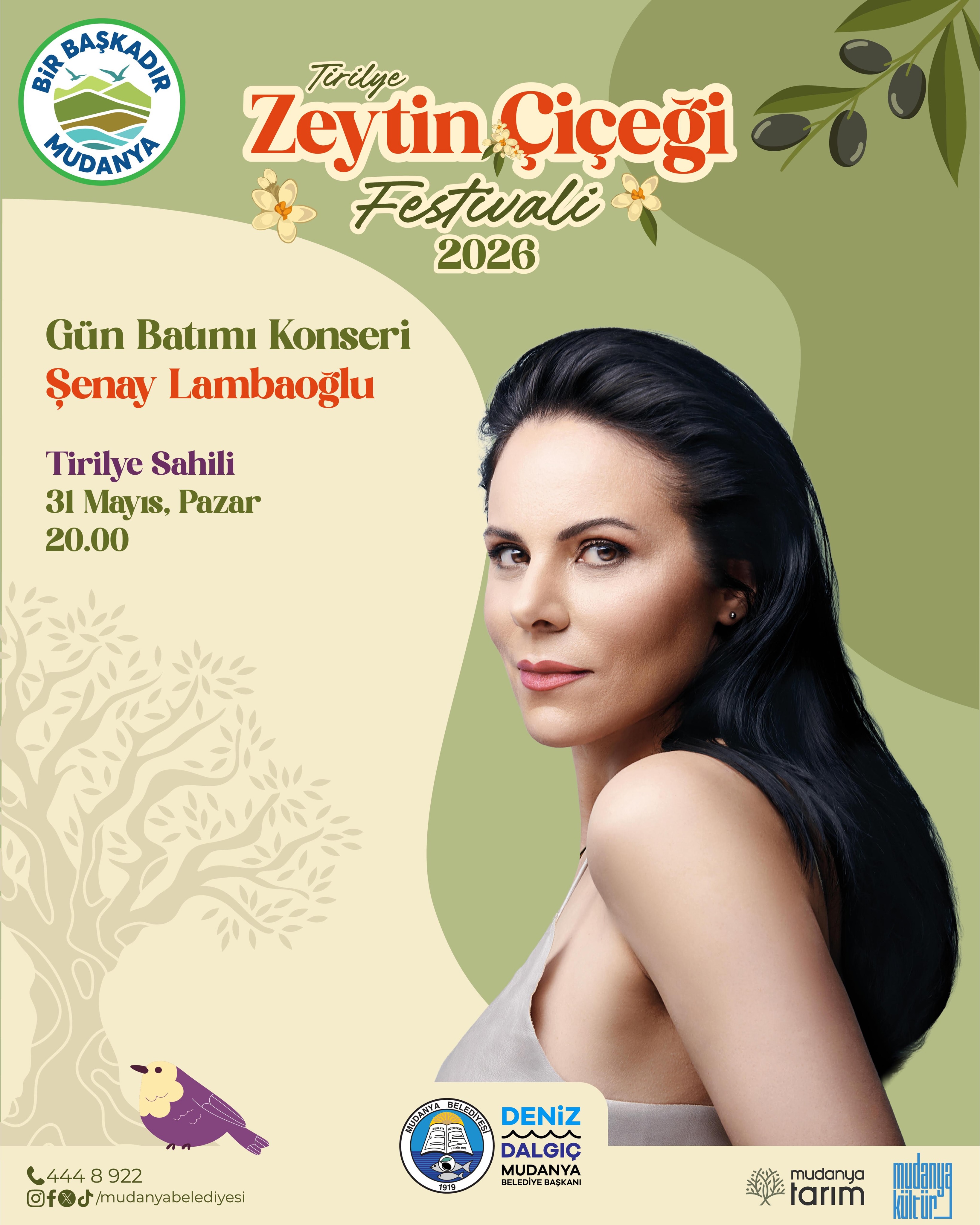 2. Zeytin Çiçeği  Festivali Başlıyor: Zeytinin Evi Tirilye'de Festival Coşkusu