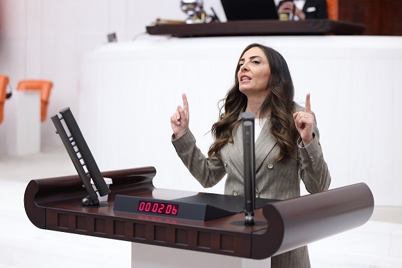 Kayışoğlu: Monarşiye Geçit Yok
