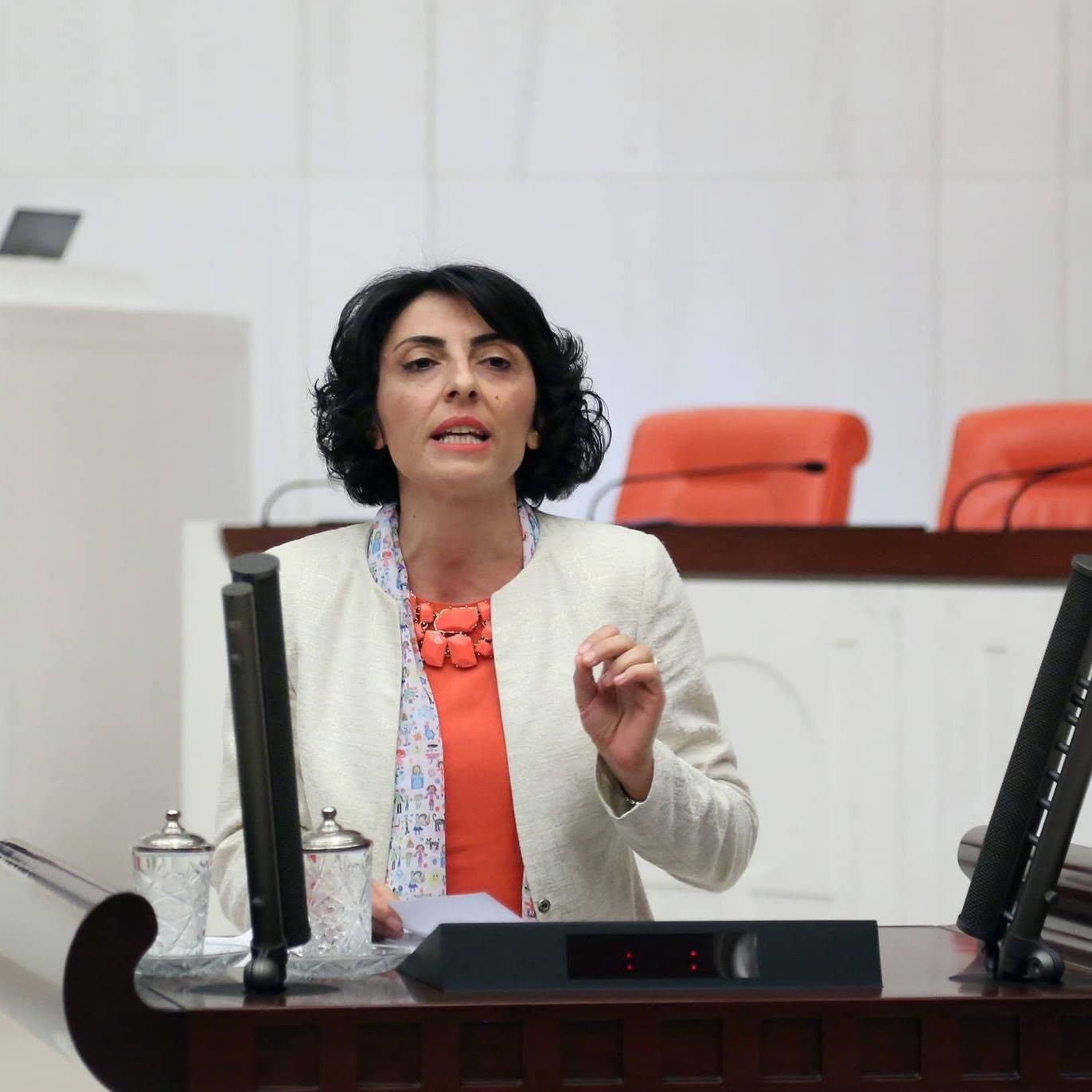 CHP Genel Başkan Yardımcısı Nurhayat Altaca Kayışoğlu: "Yurt Dışındaki Vatandaşlar Ehliyet Mağduriyeti Yaşıyor"