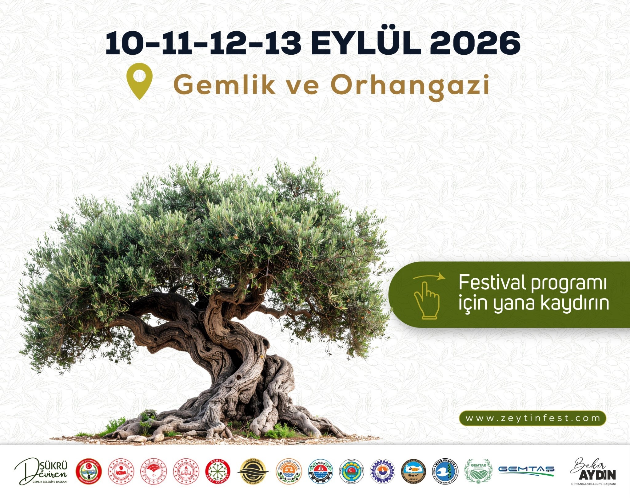 İki İlçe, Tek Miras: Gemlik-Orhangazi Zeytin Festivali Başlıyor