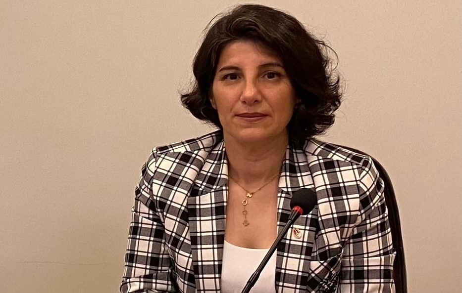 BVHO Tarafından “Diyarbakır’daki Kuduz Nedeniyle Yaşamını Yitiren 3 Yaşındaki Çocukla İlgili” Basın Açıklaması