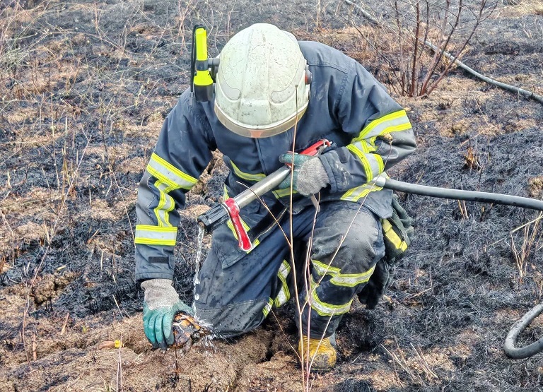Yalova’da Arazi Yangından 11 Kaplumbağa Kurtarıldı